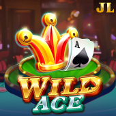 Wild Ace Go Bingo Plus slot